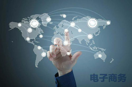 电子商务专业 一体化
